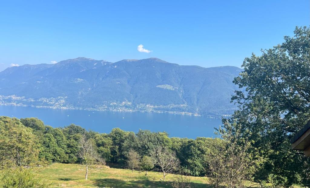 Con vista sul lago e sulle montagne, Rustico Corte è un appartamento a Brissago pensato per chi desidera rallentare e godersi la bellezza del paesaggio. Un giardino, un balcone e un patio completano questo angolo tranquillo nel Canton Ticino.